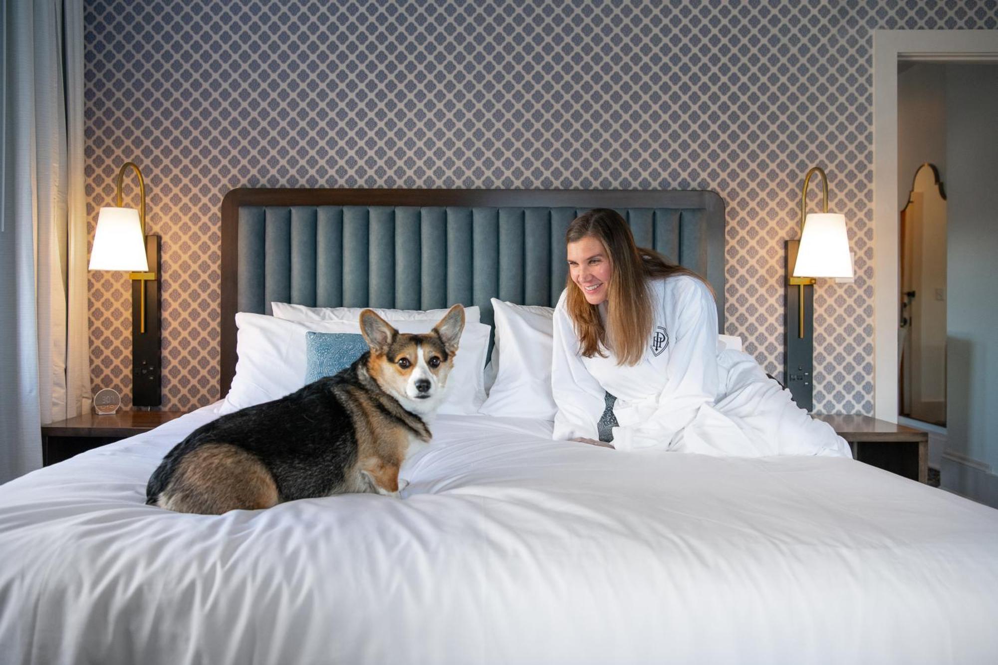 Hotel Petersburg, Tapestry Collection By Hilton エクステリア 写真